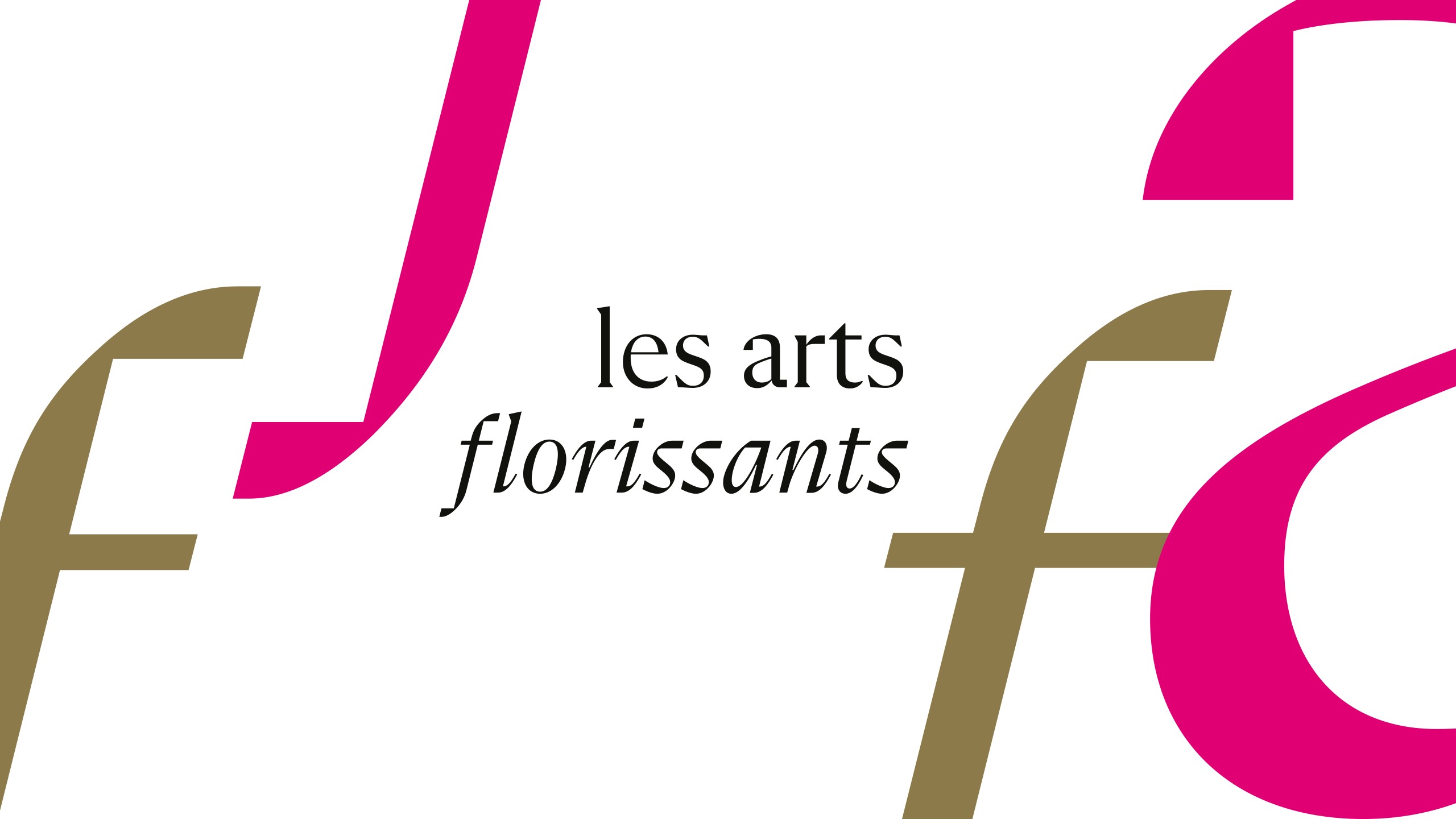 CDI - Directeur·ice Administrif·ive et Financier·ère